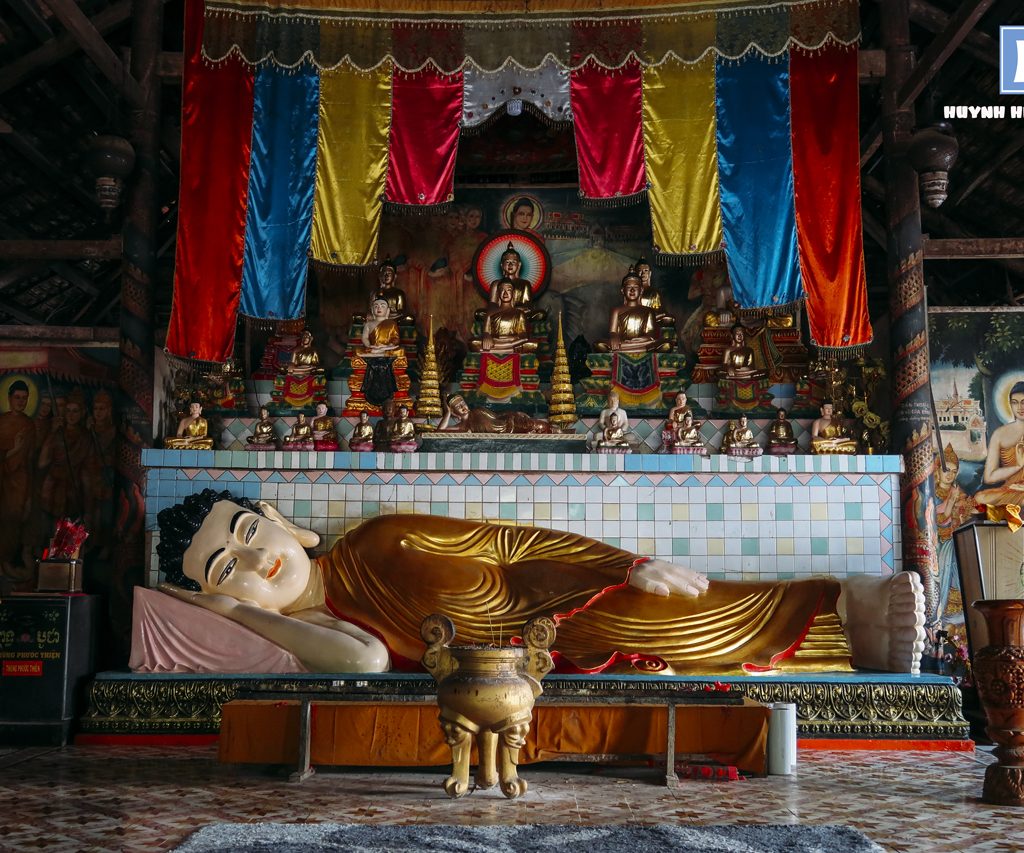 Chùa dơi sóc trăng nguồn gốc và bí ẩn của những con dơi