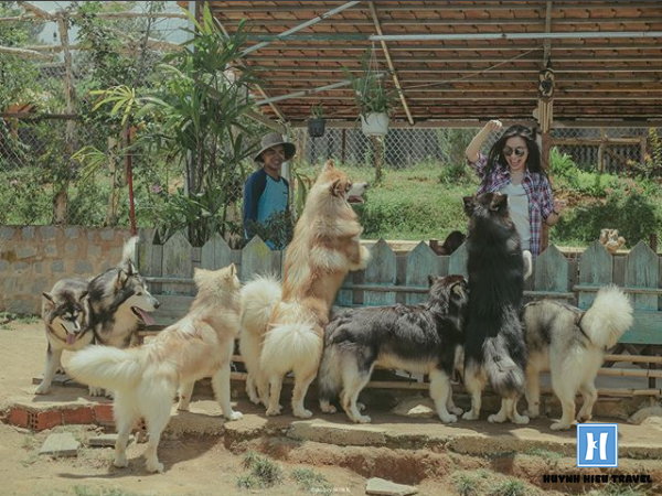 Nông trại thú cưng Đà Lạt