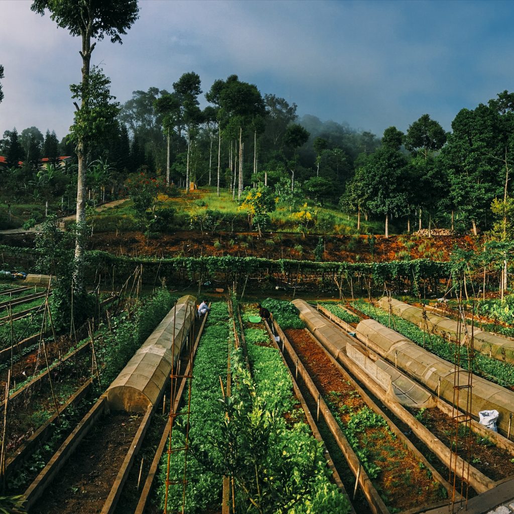 Chùa Vạn Linh núi Cấm An Giang