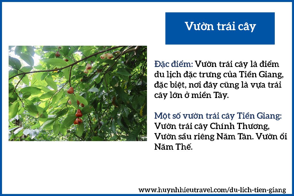 Giới thiệu vườn trái cây Tiền Giang