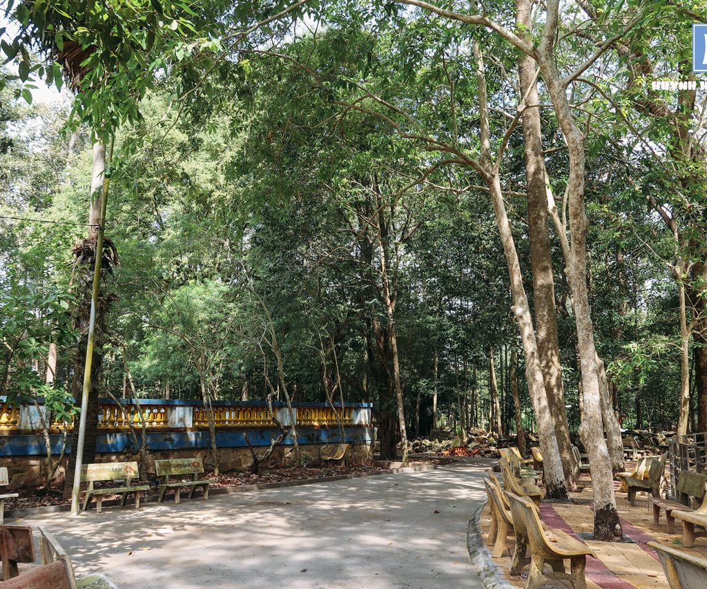 Khuôn viên chùa dơi khá nhiều cây xanh
