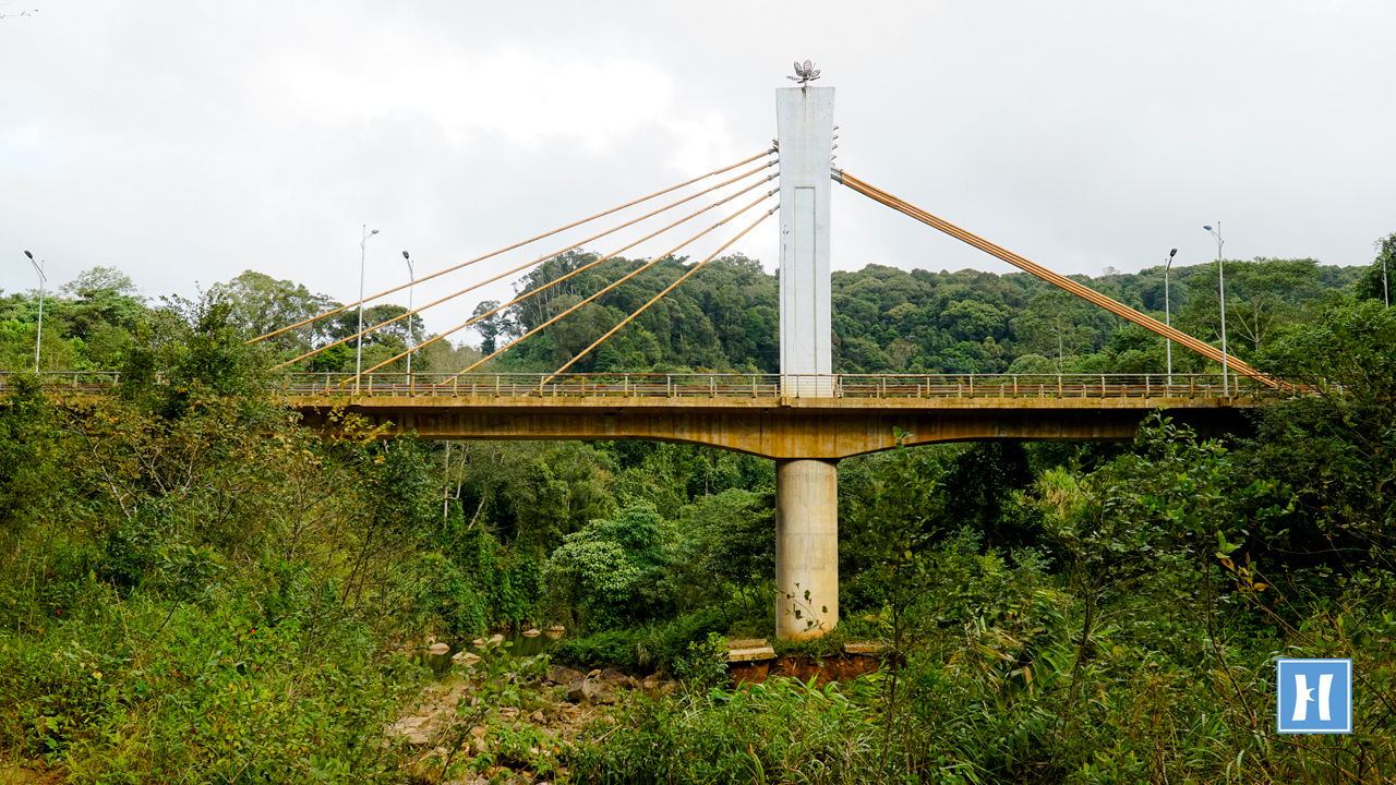 Cầu dây văng lệch nhịp