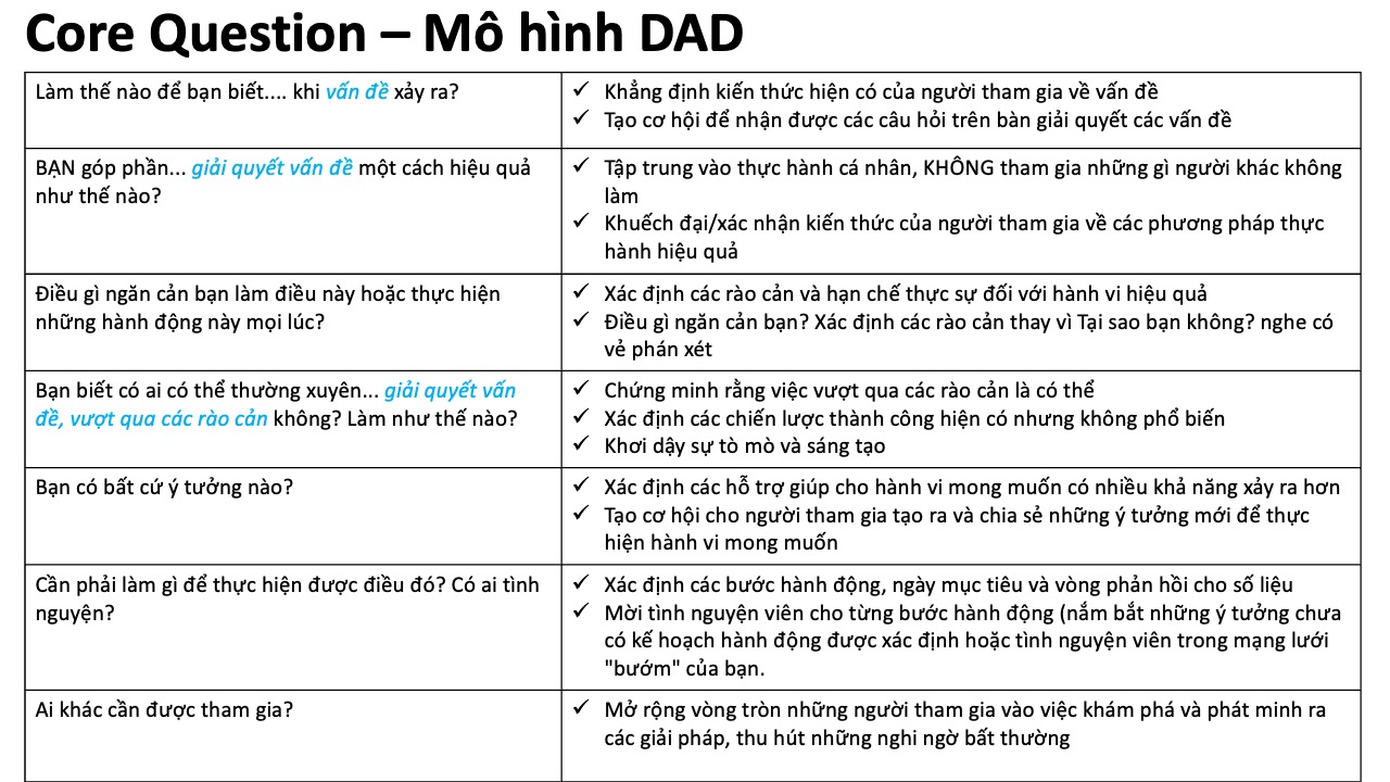 Câu hỏi chính mô hình DAD