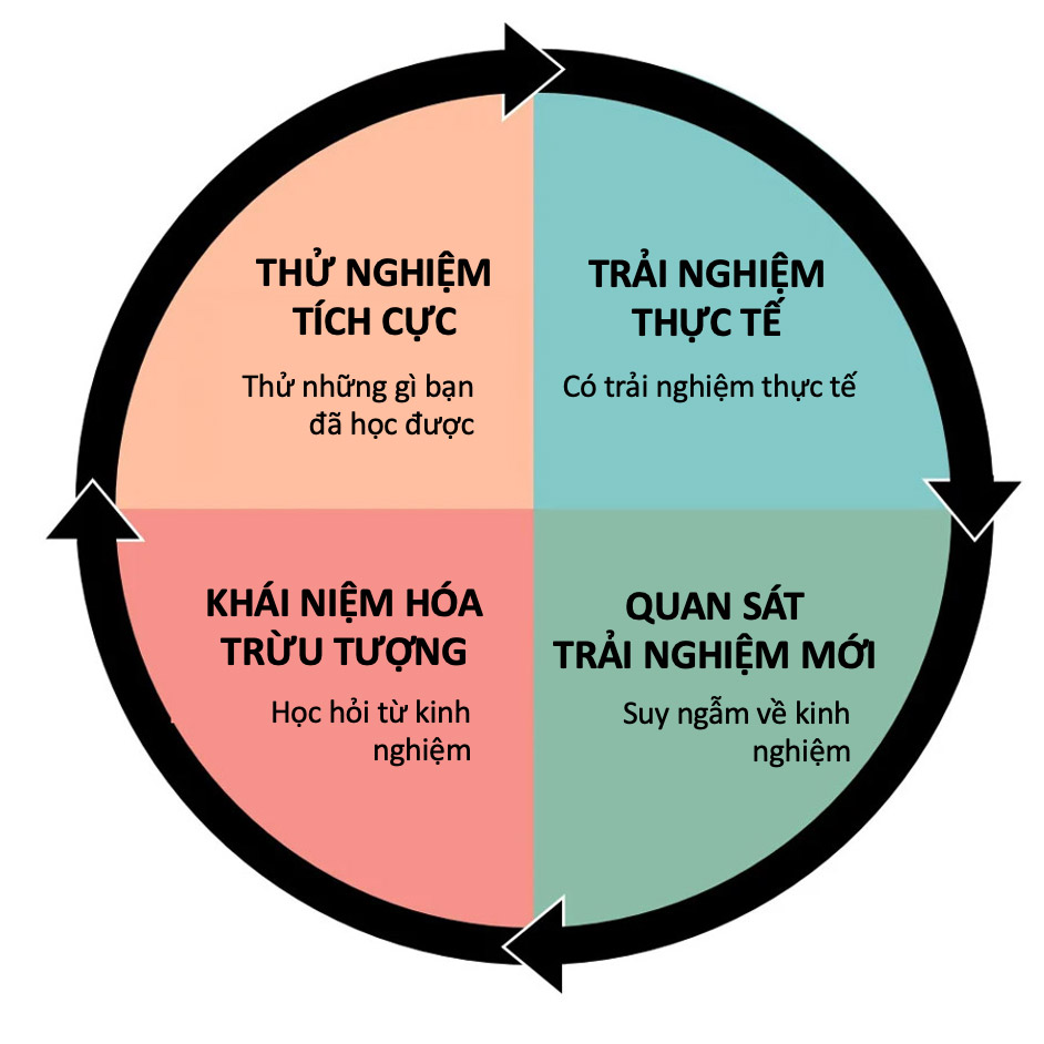 Chu trình học tập trải nghiệm Kolb